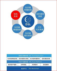 DSL国际兑付系统 区块链3.0的真实落地应用与网络信息技术研发