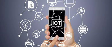 万物互联时代 把握物联网趋势浪潮，实现网络信息技术研发领域的高薪就业